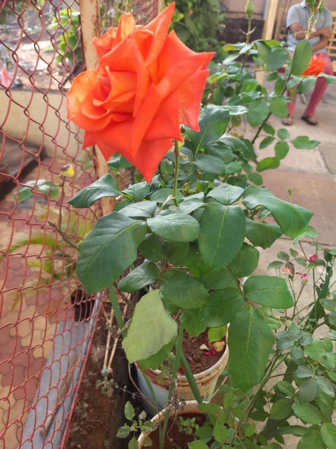 Trimurti Holiday Home Panchgani Bagian luar foto