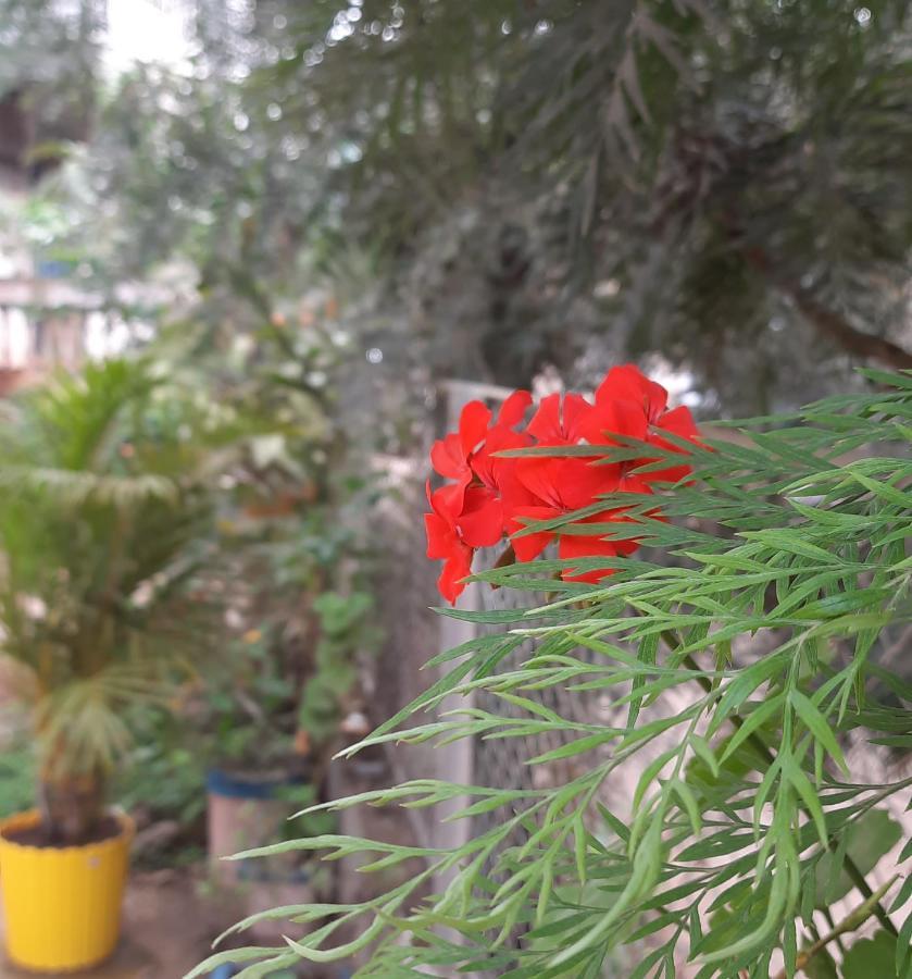 Trimurti Holiday Home Panchgani Bagian luar foto