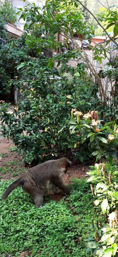 Trimurti Holiday Home Panchgani Bagian luar foto
