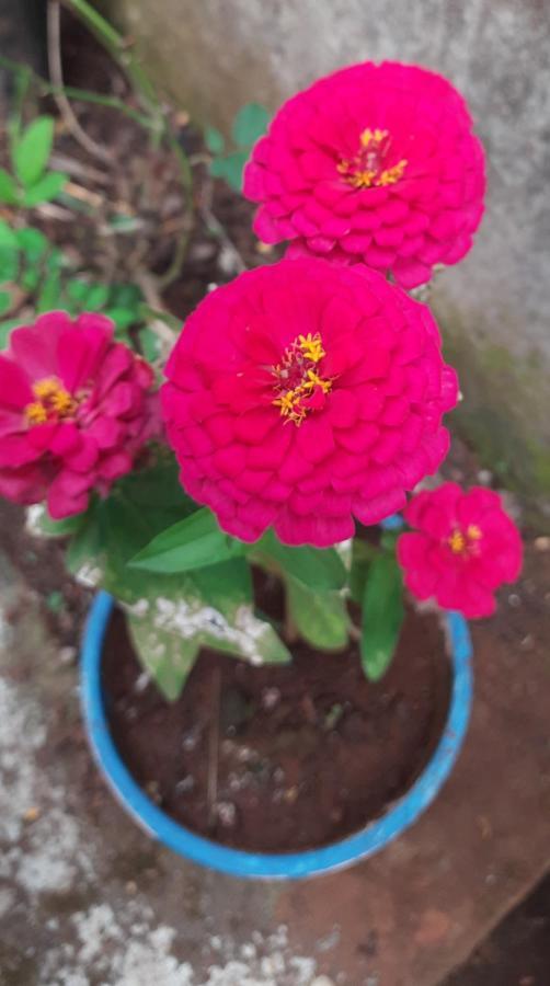 Trimurti Holiday Home Panchgani Bagian luar foto