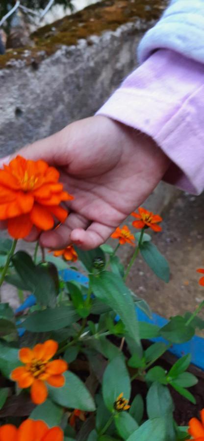 Trimurti Holiday Home Panchgani Bagian luar foto