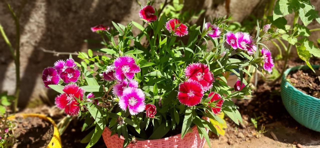 Trimurti Holiday Home Panchgani Bagian luar foto