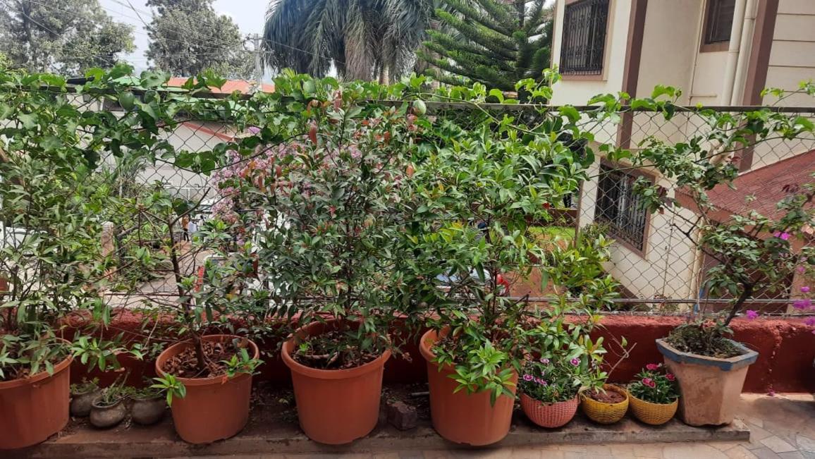 Trimurti Holiday Home Panchgani Bagian luar foto