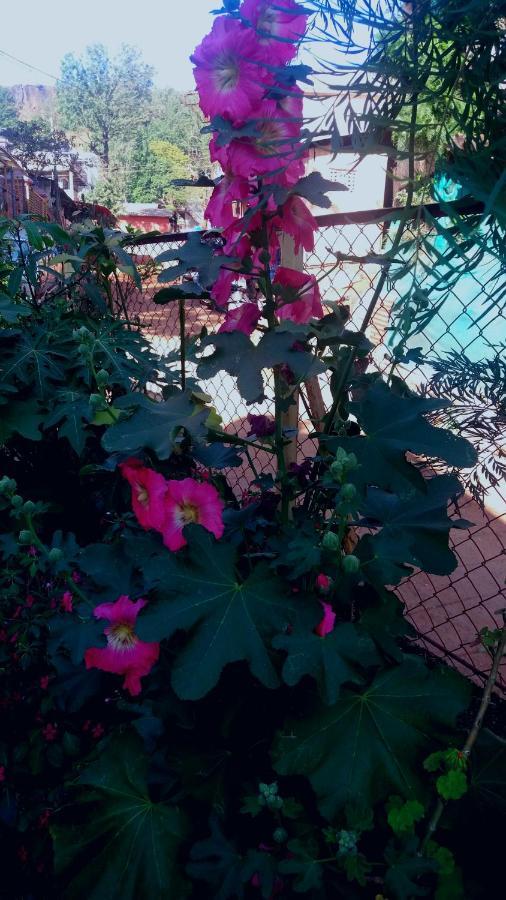 Trimurti Holiday Home Panchgani Bagian luar foto